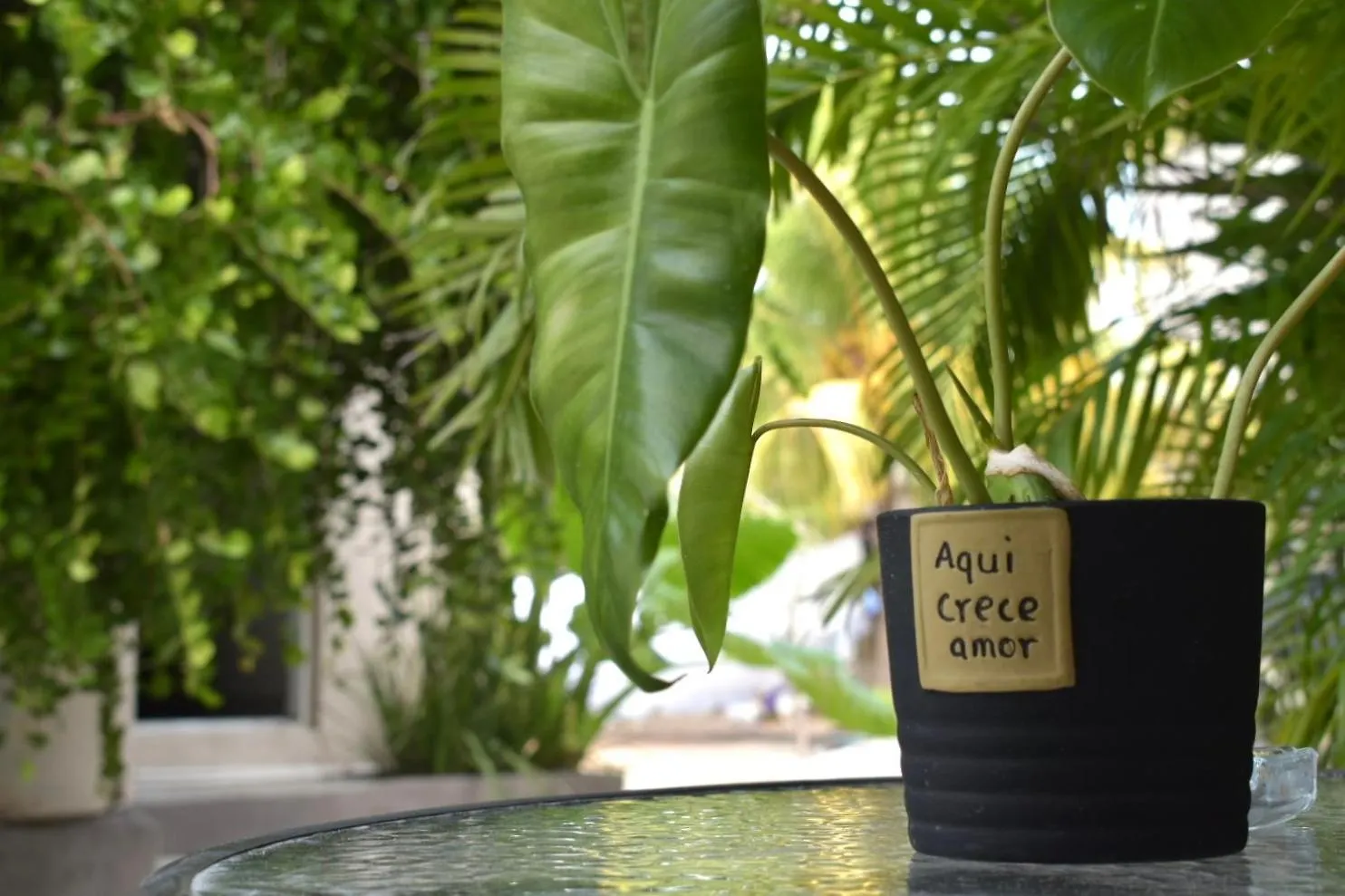 Appartement La Casa Del Pescador Holbox Mexique